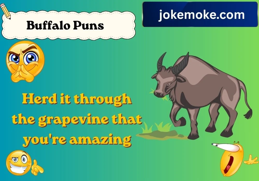 Buffalo Puns Captions