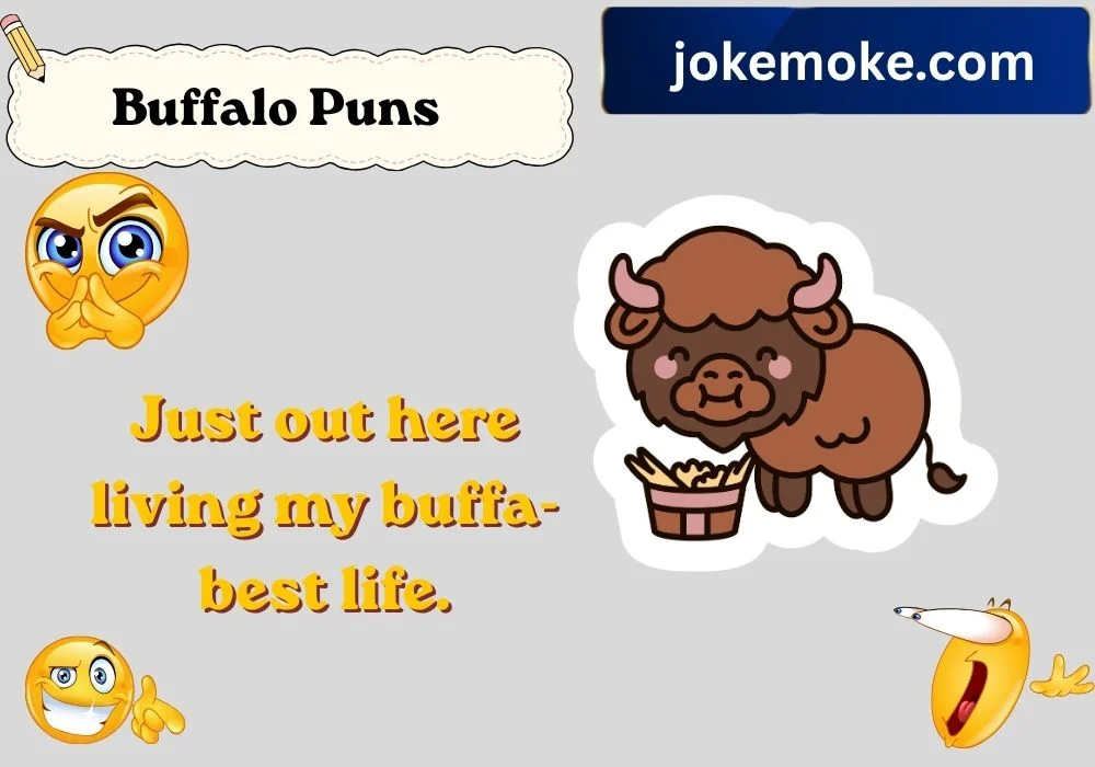 Clever Buffalo Puns for Instagram