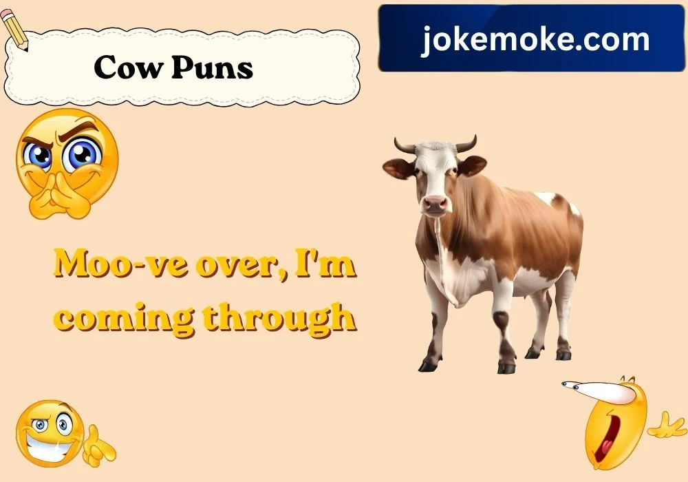 Cow Puns in English
