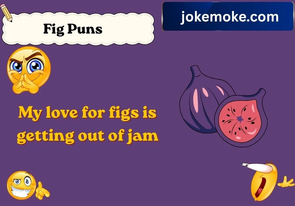 Fig Puns One Liners
