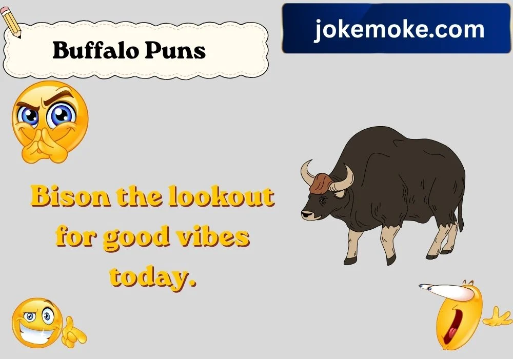 Funny Buffalo Puns and Captions