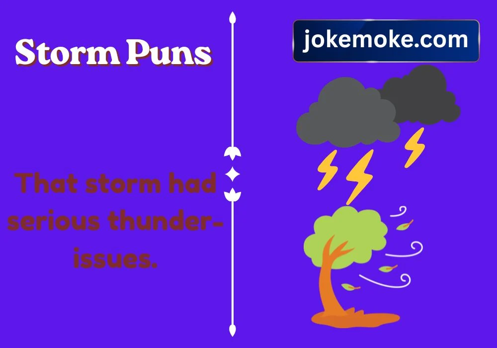 Funny Storm Puns and Captions