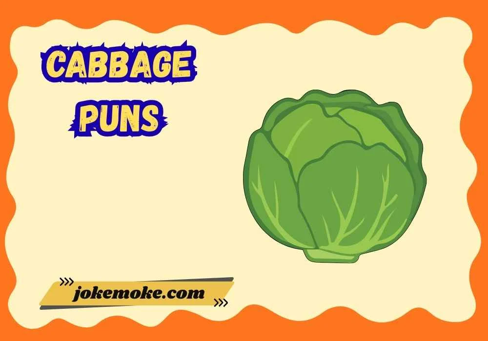 Cabbage Puns