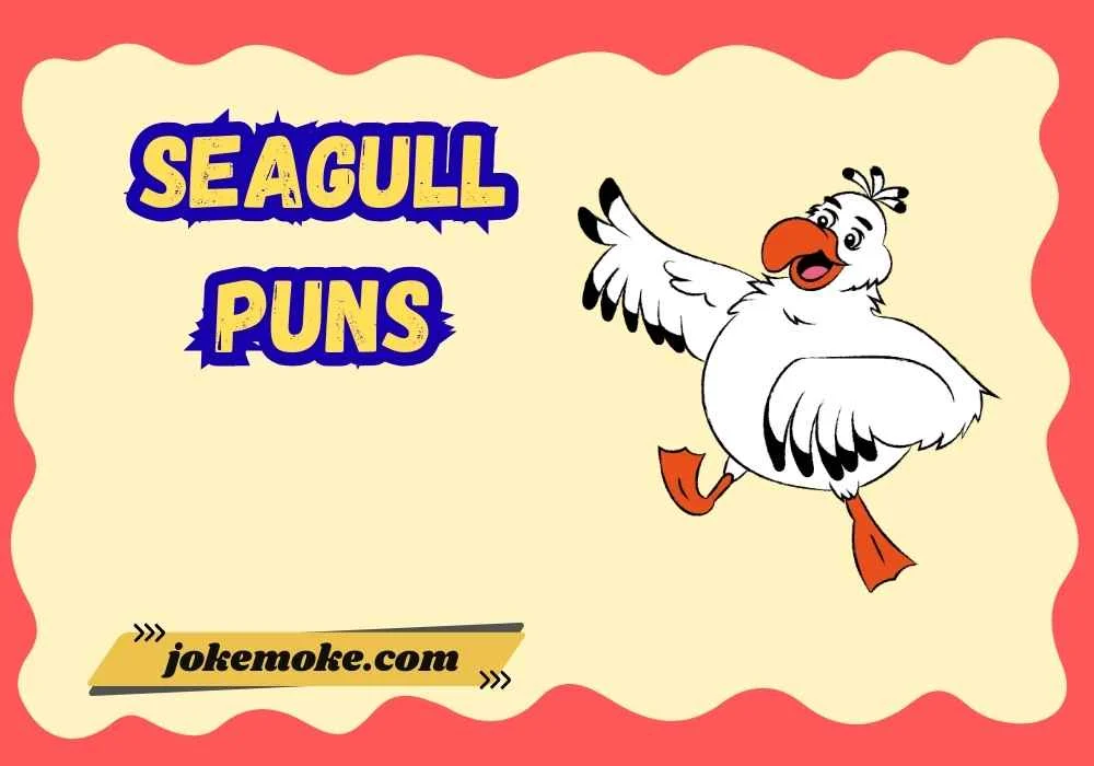 seagull puns