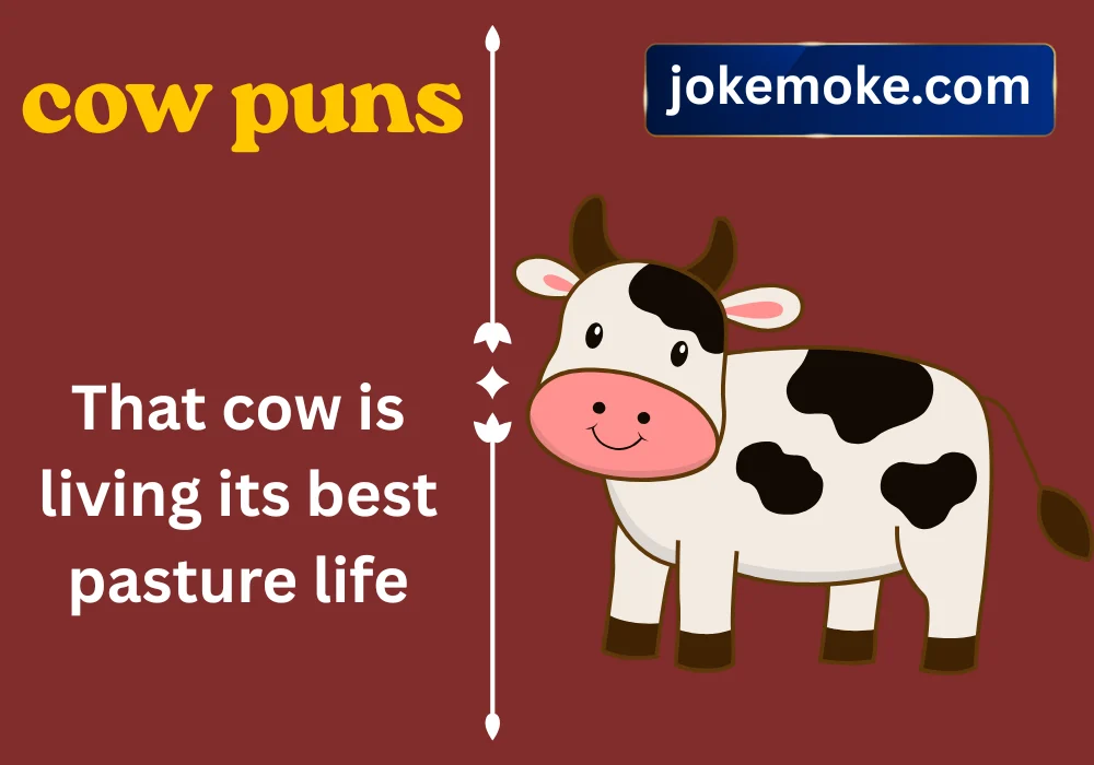 cow puns