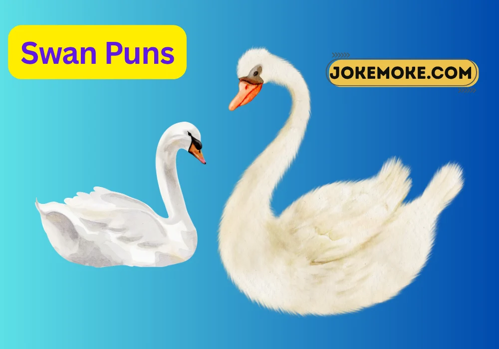 Swan Puns