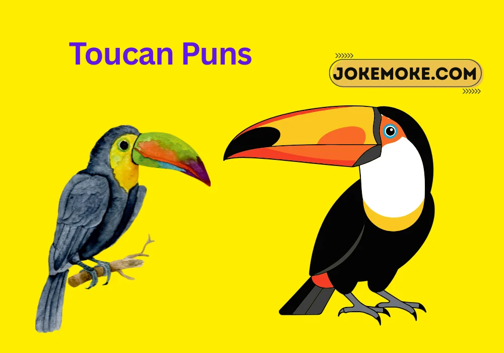 Toucan Puns
