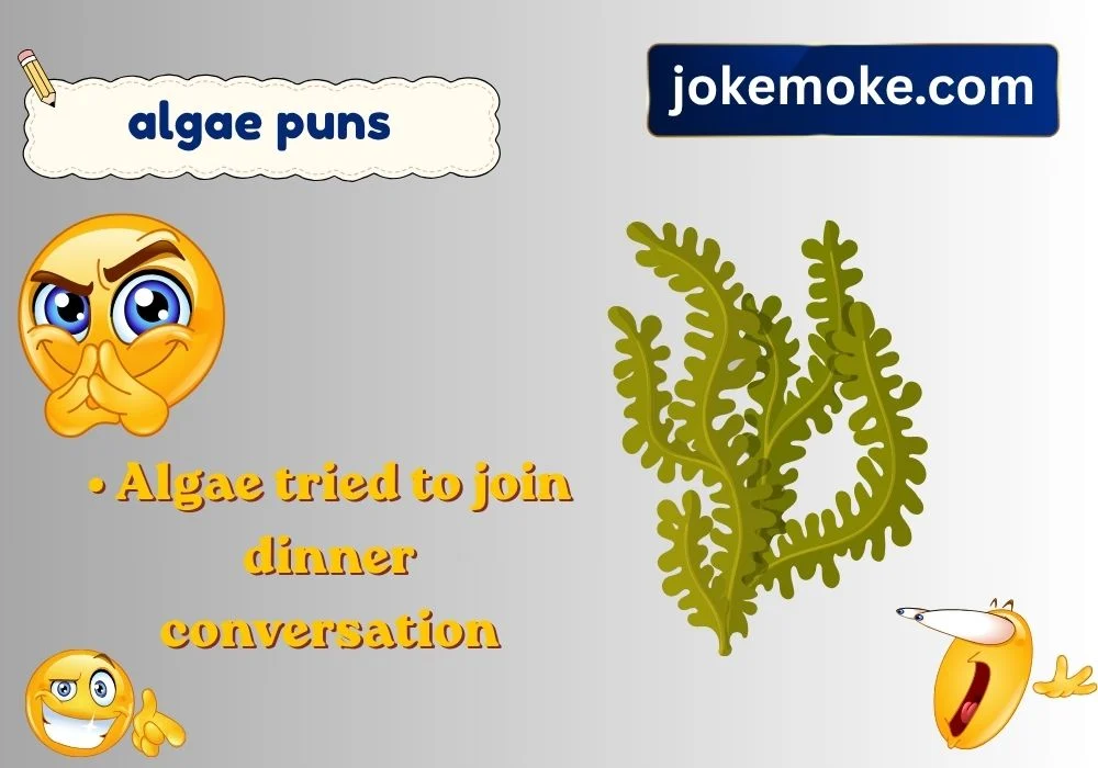 algae puns