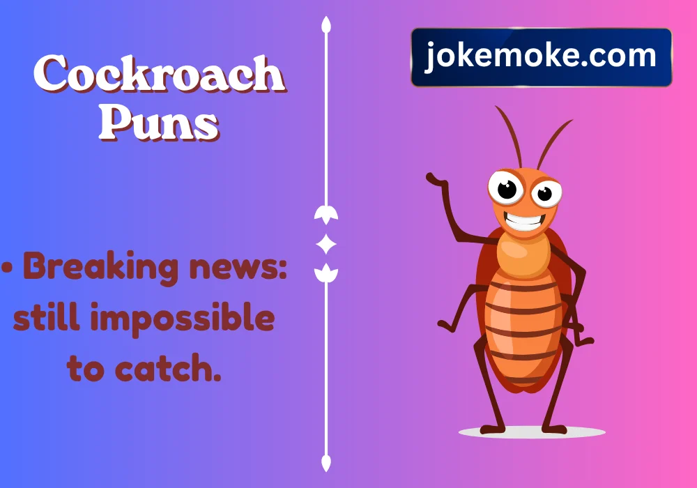 Cockroach Puns
