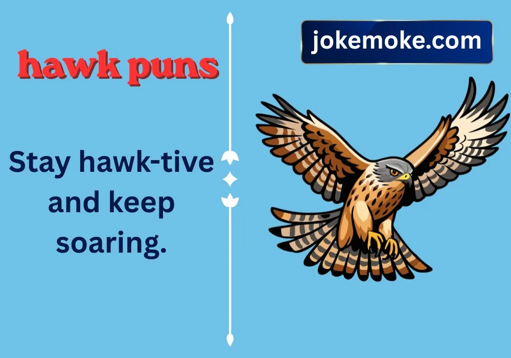 hawk puns