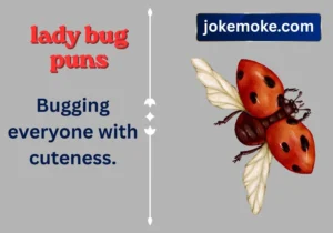 lady bug puns